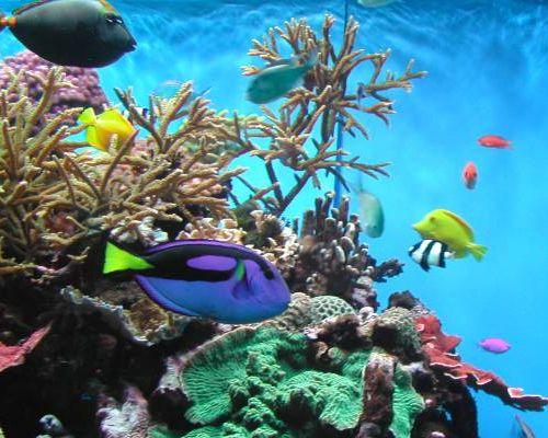 nice - 1original.jpg